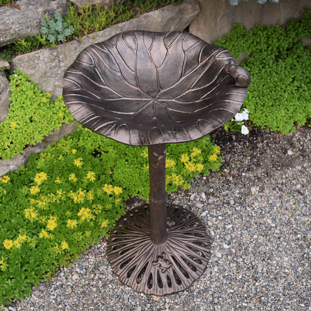 Round Cast Aluminum Metal 35-in Frog Bird Bath with Leaf Bowl Sharicks
