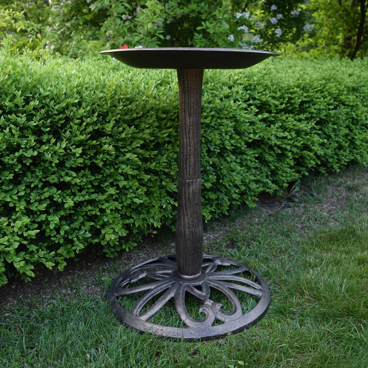Modern Round Cast Aluminum Metal 28-in Bronze Bird Bath Sharicks