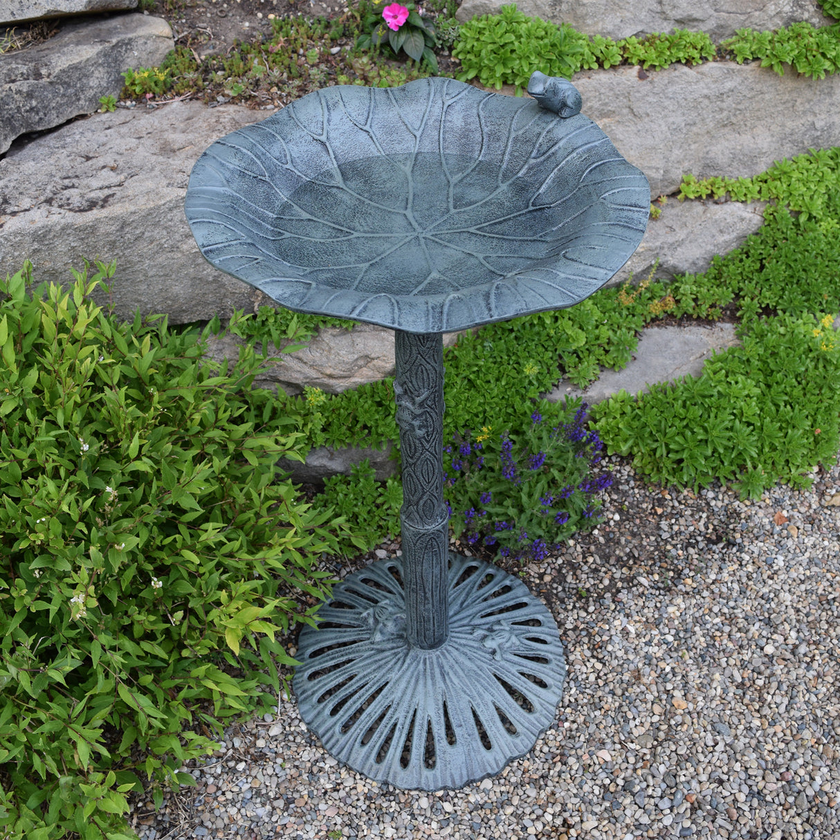 Round Cast Aluminum Metal 35-in Frog Bird Bath with Leaf Bowl